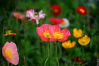 【市场】聚焦2026各地政府工作报告，关注塑料管道利好信息（五）